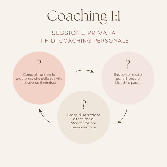 Coaching 1:1